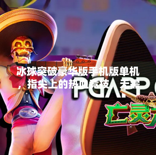冰球突破豪华版手机版单机，指尖上的热血竞技，无需联网也能畅玩的硬核体验！冰球突破豪华版手机版单机