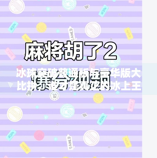 冰球突破普通版与豪华版大比拼,谁才是真正的冰上王者?冰球突破普通版和豪华版