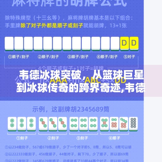 韦德冰球突破，从篮球巨星到冰球传奇的跨界奇迹,韦德冰球突破